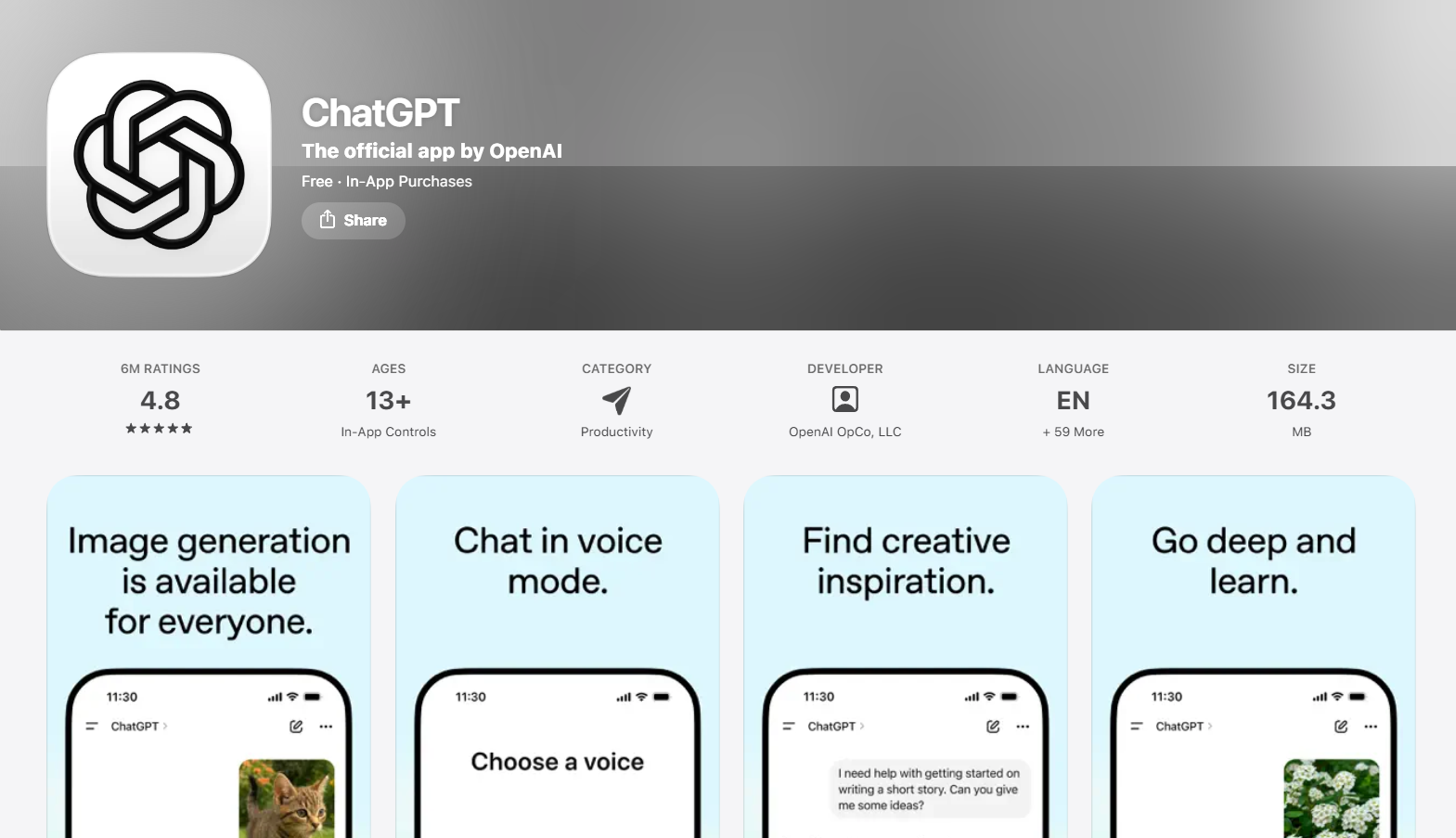 ChatGPT iPhone App